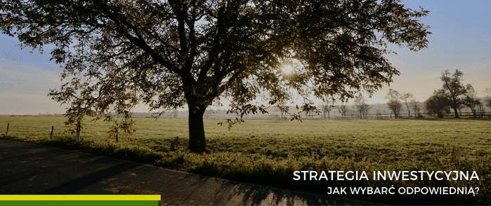 strategia inwestycyjna - jak wybrać odpowiednią?